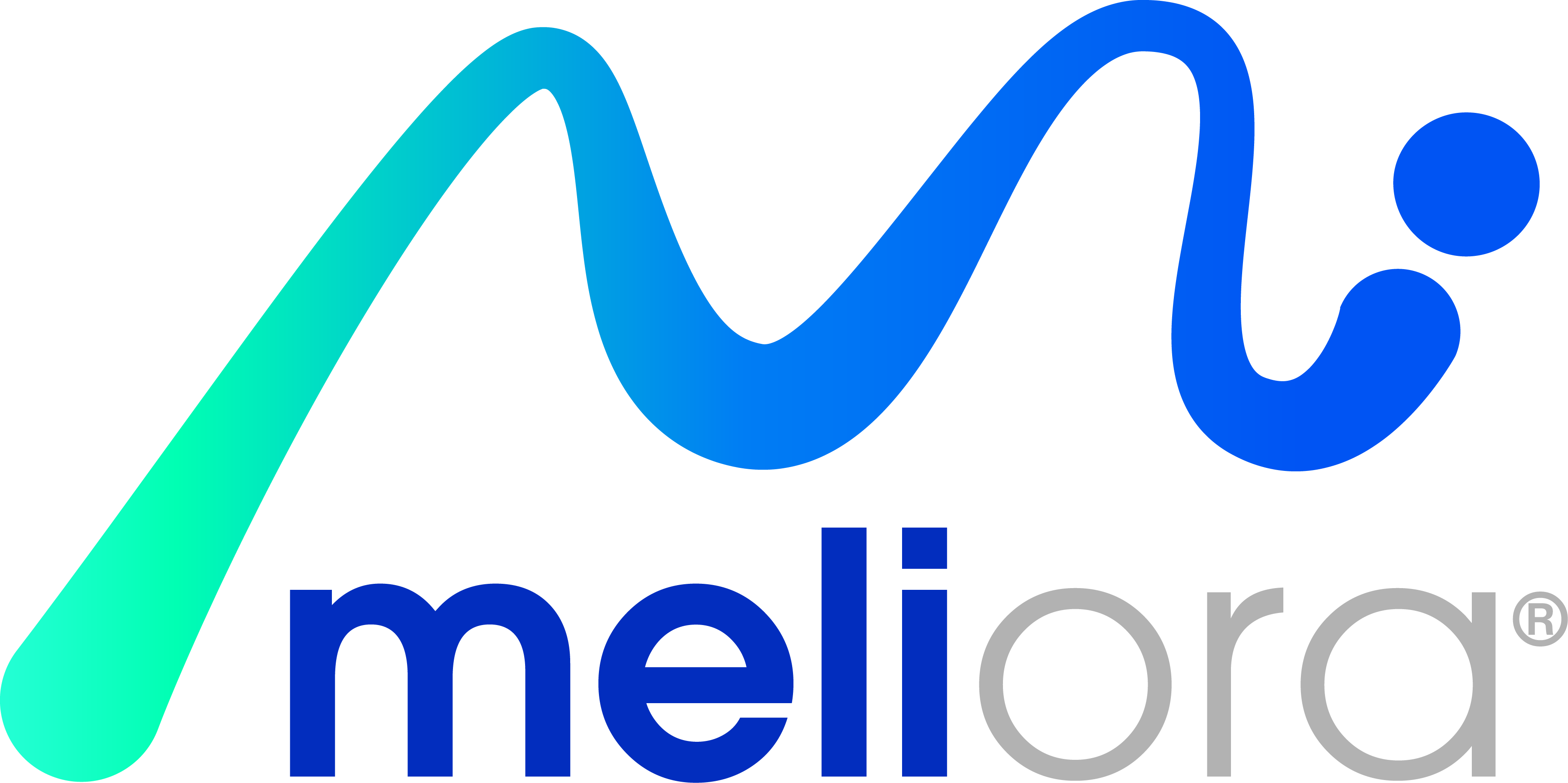 Meliora Logo