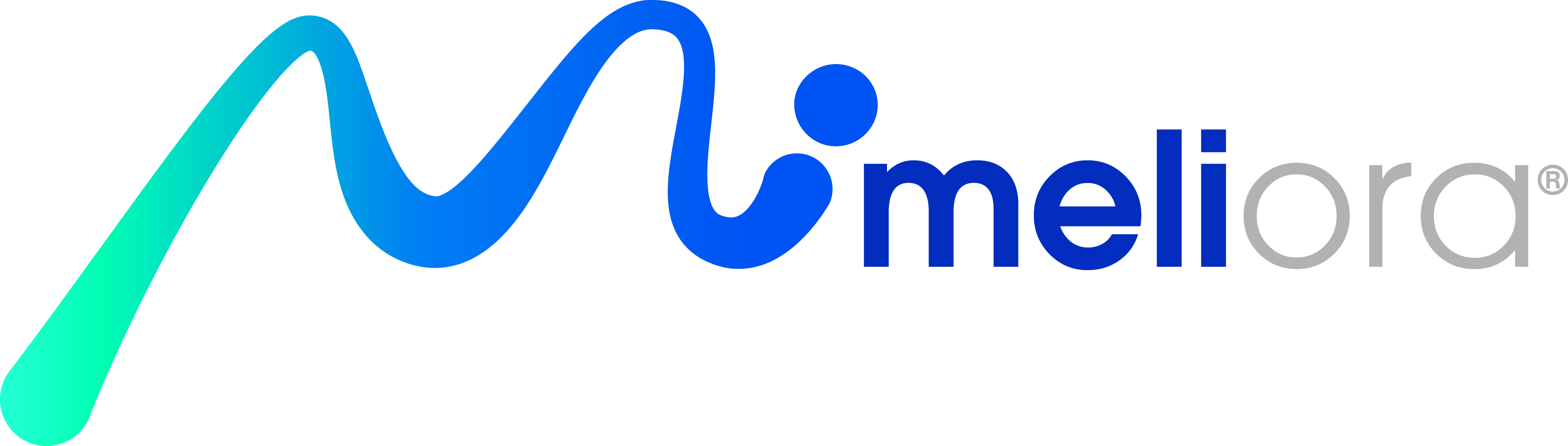 Meliora Logo